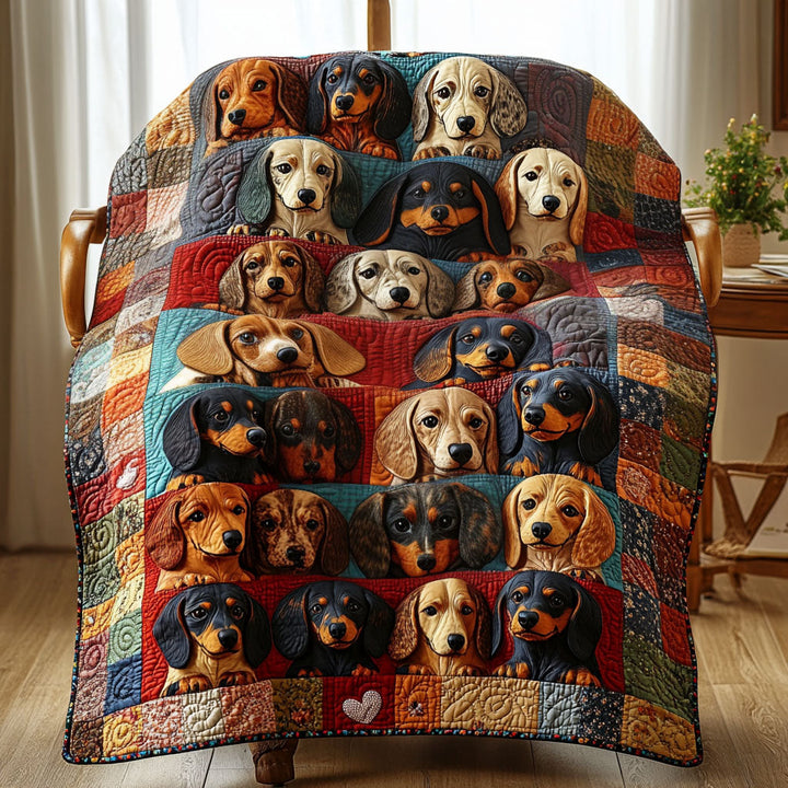 Dachshund Haven Quilted Blanket NCU0PT3041